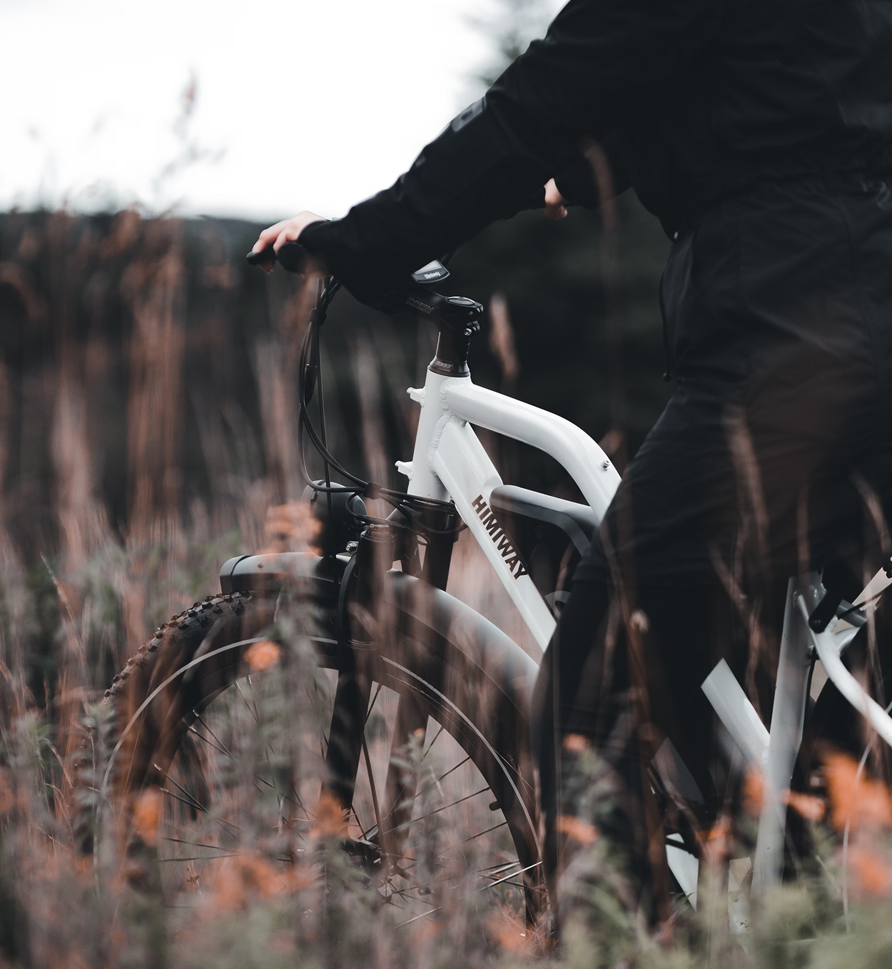 elektrischefietsen elektrischefietsen